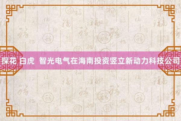 探花 白虎  智光电气在海南投资竖立新动力科技公司