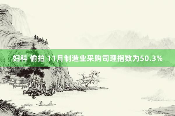 妇科 偷拍 11月制造业采购司理指数为50.3%