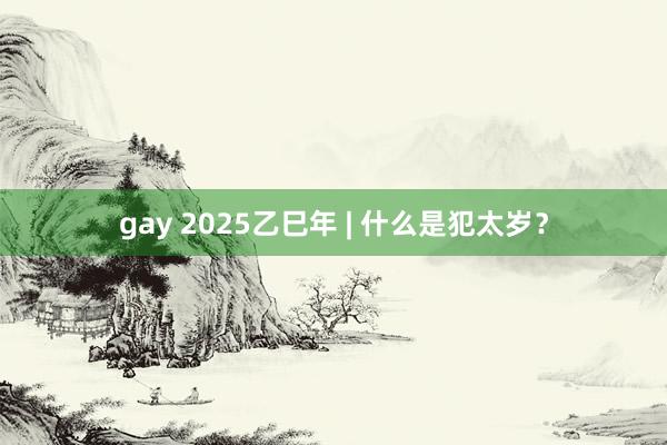 gay 2025乙巳年 | 什么是犯太岁？