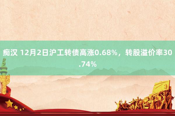 痴汉 12月2日沪工转债高涨0.68%，转股溢价率30.74%