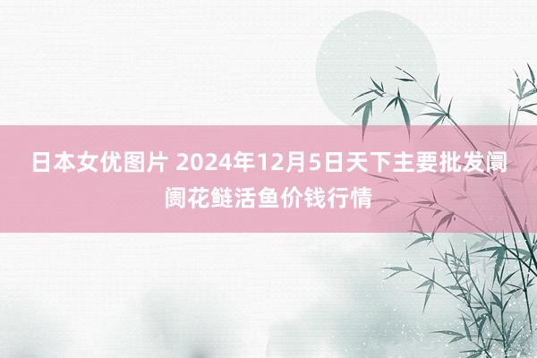 日本女优图片 2024年12月5日天下主要批发阛阓花鲢活鱼价钱行情