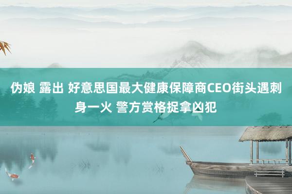 伪娘 露出 好意思国最大健康保障商CEO街头遇刺身一火 警方赏格捉拿凶犯