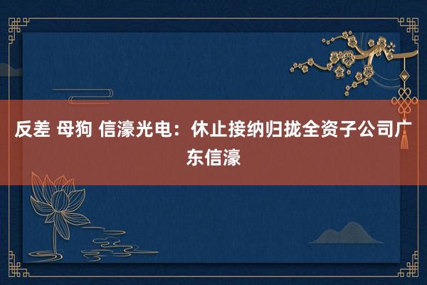 反差 母狗 信濠光电：休止接纳归拢全资子公司广东信濠