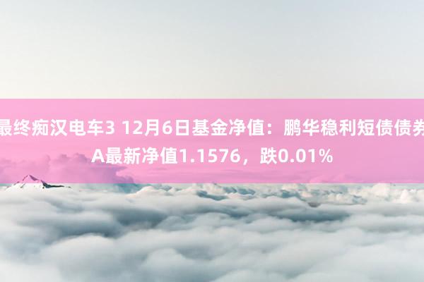 最终痴汉电车3 12月6日基金净值：鹏华稳利短债债券A最新净值1.1576，跌0.01%