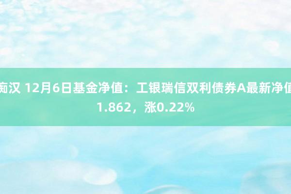 痴汉 12月6日基金净值：工银瑞信双利债券A最新净值1.862，涨0.22%