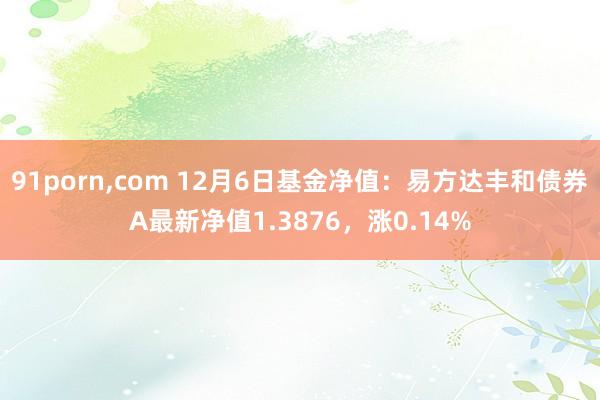 91porn，com 12月6日基金净值：易方达丰和债券A最新净值1.3876，涨0.14%