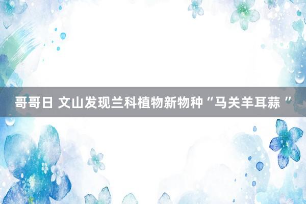 哥哥日 文山发现兰科植物新物种“马关羊耳蒜 ”