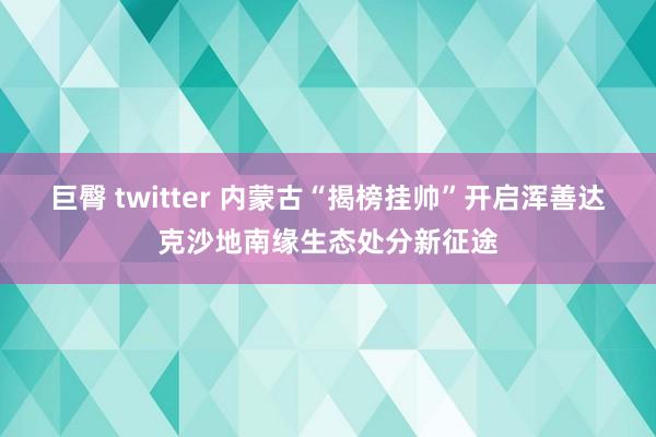 巨臀 twitter 内蒙古“揭榜挂帅”开启浑善达克沙地南缘生态处分新征途