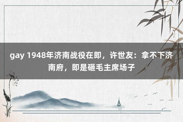 gay 1948年济南战役在即，许世友：拿不下济南府，即是砸毛主席场子