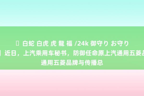 ✨白蛇 白虎 虎 龍 福 /24k 御守り お守り 【车视头条】近日，上汽乘用车秘书，防御任命原上汽通用五菱品牌与传播总