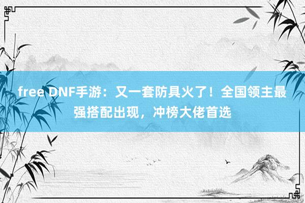 free DNF手游：又一套防具火了！全国领主最强搭配出现，冲榜大佬首选