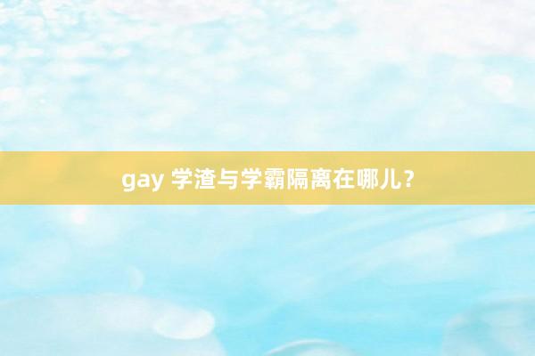 gay 学渣与学霸隔离在哪儿？