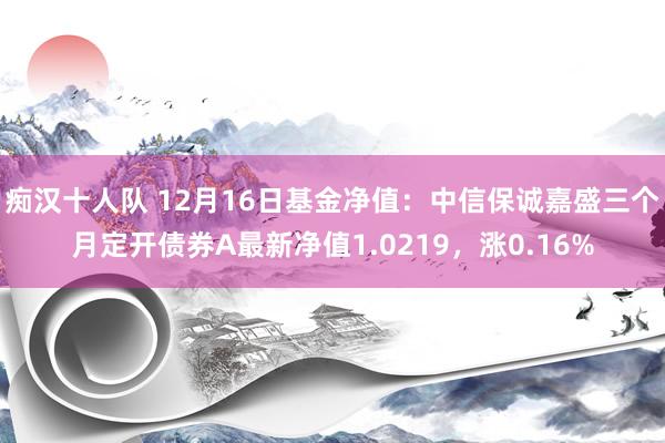 痴汉十人队 12月16日基金净值：中信保诚嘉盛三个月定开债券A最新净值1.0219，涨0.16%