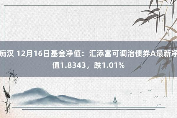 痴汉 12月16日基金净值：汇添富可调治债券A最新净值1.8343，跌1.01%