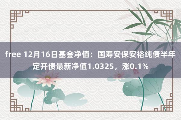 free 12月16日基金净值：国寿安保安裕纯债半年定开债最新净值1.0325，涨0.1%