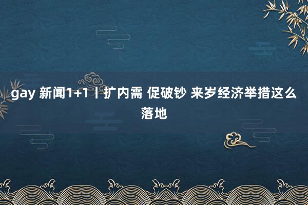 gay 新闻1+1丨扩内需 促破钞 来岁经济举措这么落地