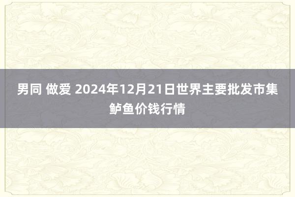 男同 做爱 2024年12月21日世界主要批发市集鲈鱼价钱行情