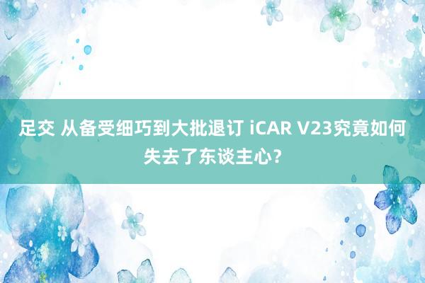 足交 从备受细巧到大批退订 iCAR V23究竟如何失去了东谈主心？