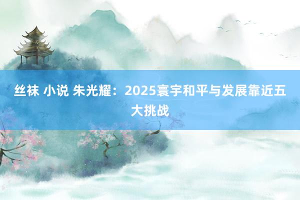 丝袜 小说 朱光耀：2025寰宇和平与发展靠近五大挑战