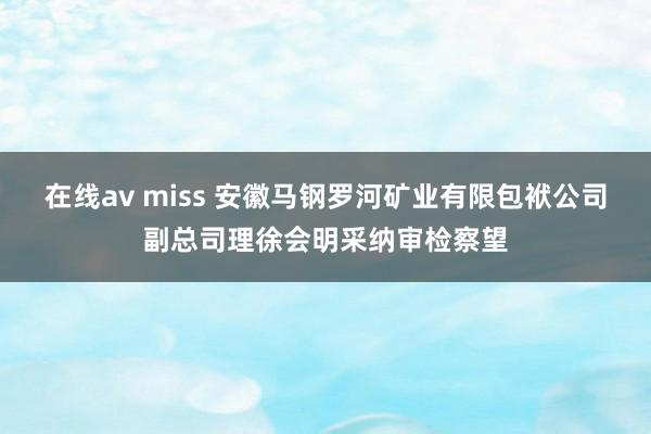 在线av miss 安徽马钢罗河矿业有限包袱公司副总司理徐会明采纳审检察望