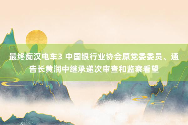 最终痴汉电车3 中国银行业协会原党委委员、通告长黄润中继承递次审查和监察看望