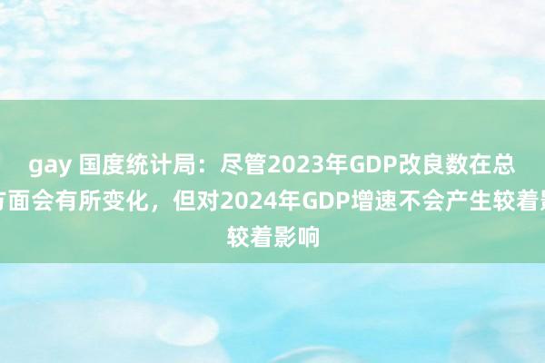 gay 国度统计局：尽管2023年GDP改良数在总量方面会有所变化，但对2024年GDP增速不会产生较着影响