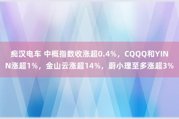 痴汉电车 中概指数收涨超0.4%，CQQQ和YINN涨超1%，金山云涨超14%，蔚小理至多涨超3%