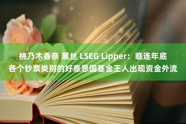 桃乃木香奈 黑丝 LSEG Lipper：临连年底各个钞票类别的好意思国基金王人出现资金外流