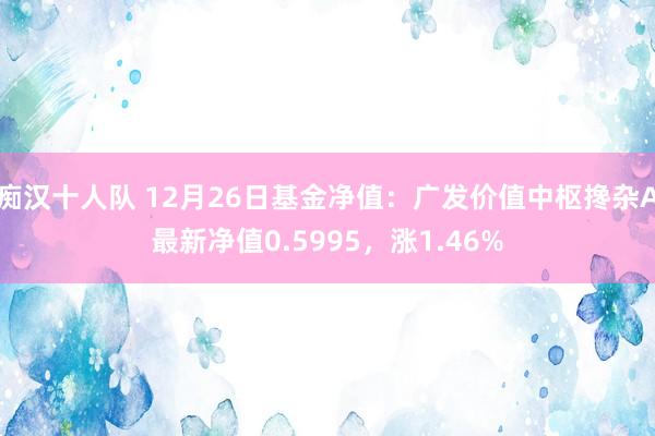 痴汉十人队 12月26日基金净值：广发价值中枢搀杂A最新净值0.5995，涨1.46%