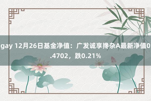 gay 12月26日基金净值：广发诚享搀杂A最新净值0.4702，跌0.21%