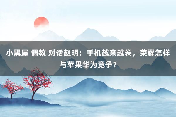 小黑屋 调教 对话赵明：手机越来越卷，荣耀怎样与苹果华为竞争？