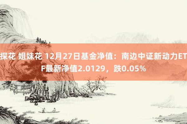 探花 姐妹花 12月27日基金净值：南边中证新动力ETF最新净值2.0129，跌0.05%