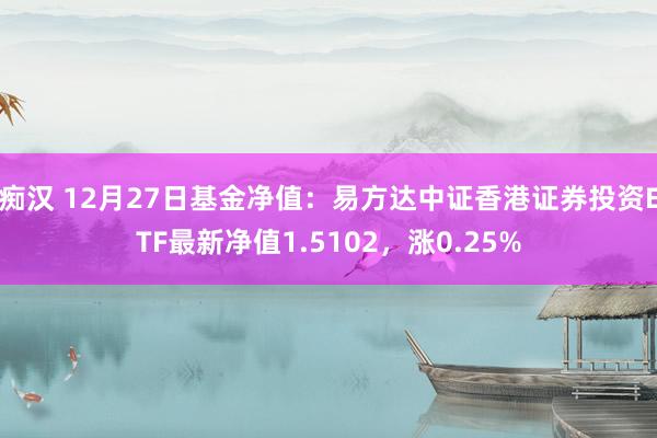 痴汉 12月27日基金净值：易方达中证香港证券投资ETF最新净值1.5102，涨0.25%