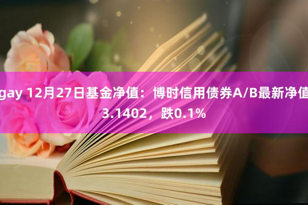 gay 12月27日基金净值：博时信用债券A/B最新净值3.1402，跌0.1%