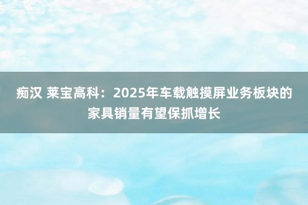 痴汉 莱宝高科：2025年车载触摸屏业务板块的家具销量有望保抓增长