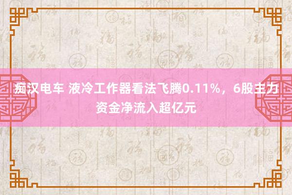 痴汉电车 液冷工作器看法飞腾0.11%，6股主力资金净流入超亿元