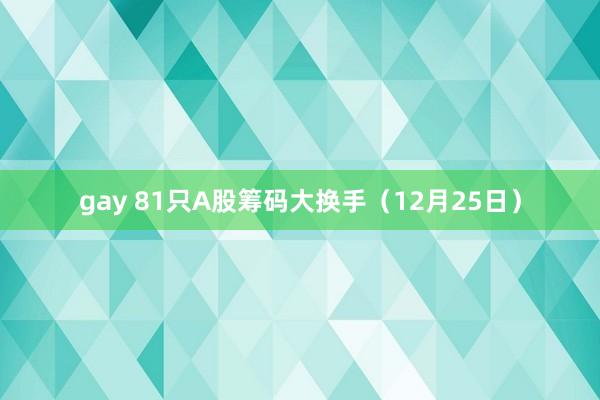 gay 81只A股筹码大换手（12月25日）