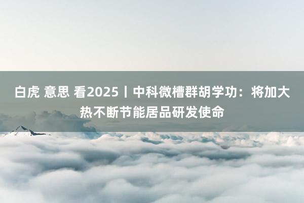 白虎 意思 看2025丨中科微槽群胡学功：将加大热不断节能居品研发使命