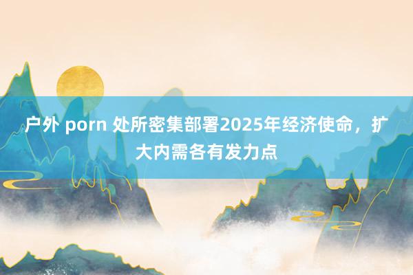 户外 porn 处所密集部署2025年经济使命，扩大内需各有发力点