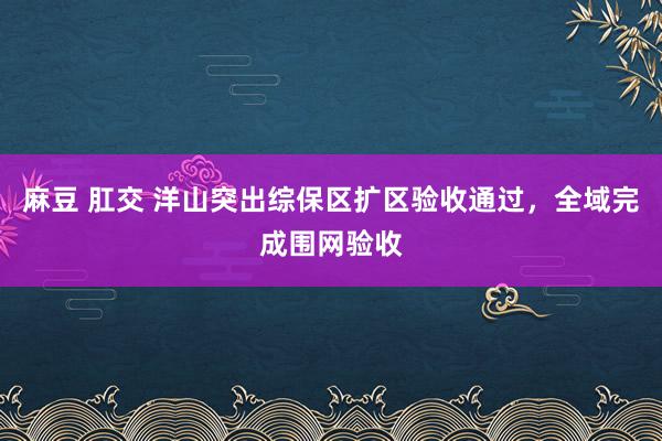 麻豆 肛交 洋山突出综保区扩区验收通过，全域完成围网验收