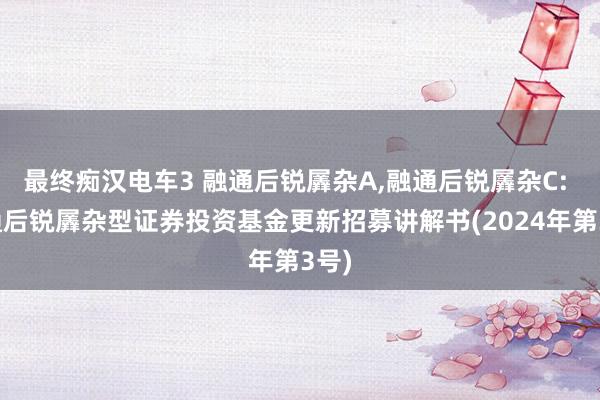 最终痴汉电车3 融通后锐羼杂A,融通后锐羼杂C: 融通后锐羼杂型证券投资基金更新招募讲解书(2024年第3号)