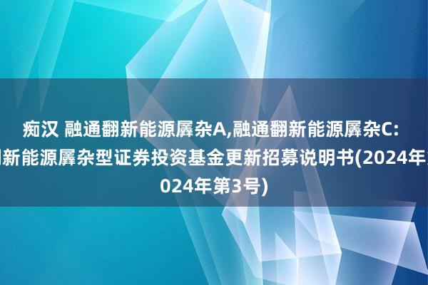 痴汉 融通翻新能源羼杂A，融通翻新能源羼杂C: 融通翻新能源羼杂型证券投资基金更新招募说明书(2024年第3号)