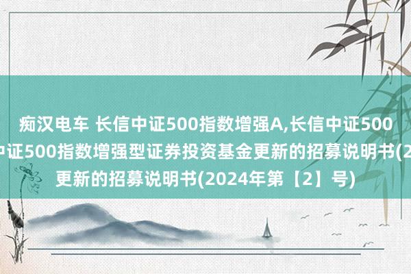 痴汉电车 长信中证500指数增强A，长信中证500指数增强C: 长信中证500指数增强型证券投资基金更新的招募说明书(2024年第【2】号)