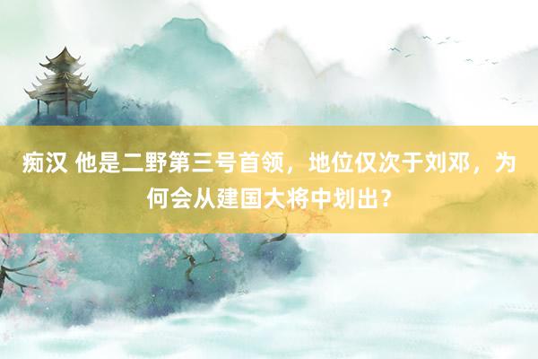 痴汉 他是二野第三号首领，地位仅次于刘邓，为何会从建国大将中划出？