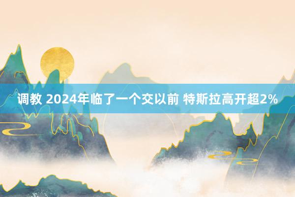 调教 2024年临了一个交以前 特斯拉高开超2%