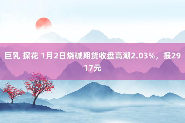 巨乳 探花 1月2日烧碱期货收盘高潮2.03%，报2917元