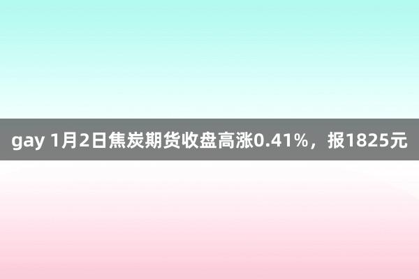 gay 1月2日焦炭期货收盘高涨0.41%，报1825元