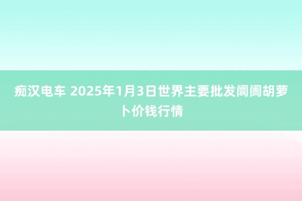 痴汉电车 2025年1月3日世界主要批发阛阓胡萝卜价钱行情