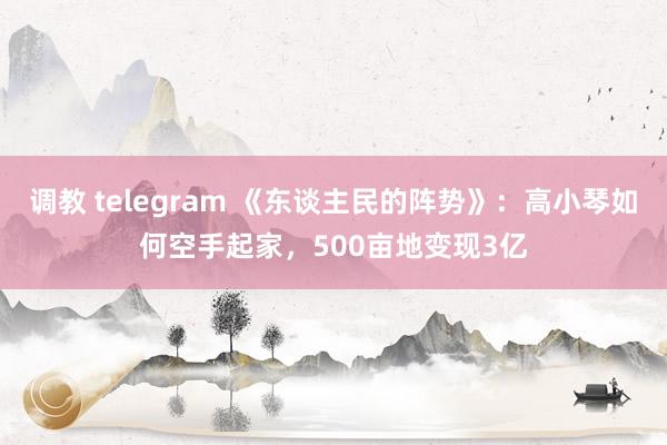 调教 telegram 《东谈主民的阵势》：高小琴如何空手起家，500亩地变现3亿