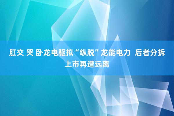 肛交 哭 卧龙电驱拟“纵脱”龙能电力  后者分拆上市再遭远离